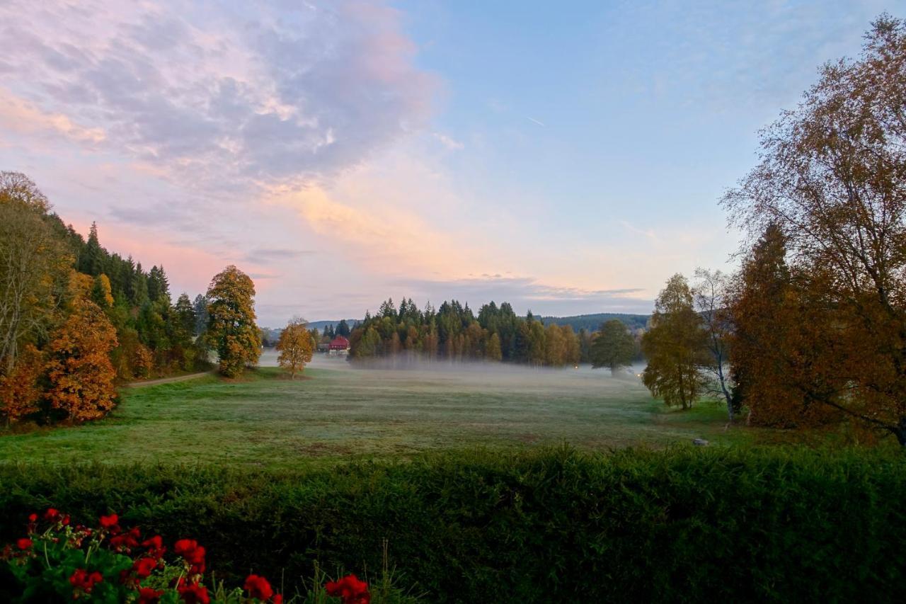 Hollhouse - Bed & Breakfast Hinterzarten Exterior photo