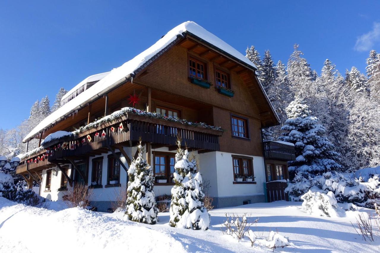 Hollhouse - Bed & Breakfast Hinterzarten Exterior photo