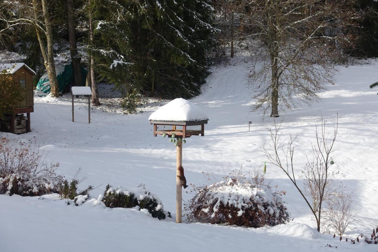 Hollhouse - Bed & Breakfast Hinterzarten Exterior photo