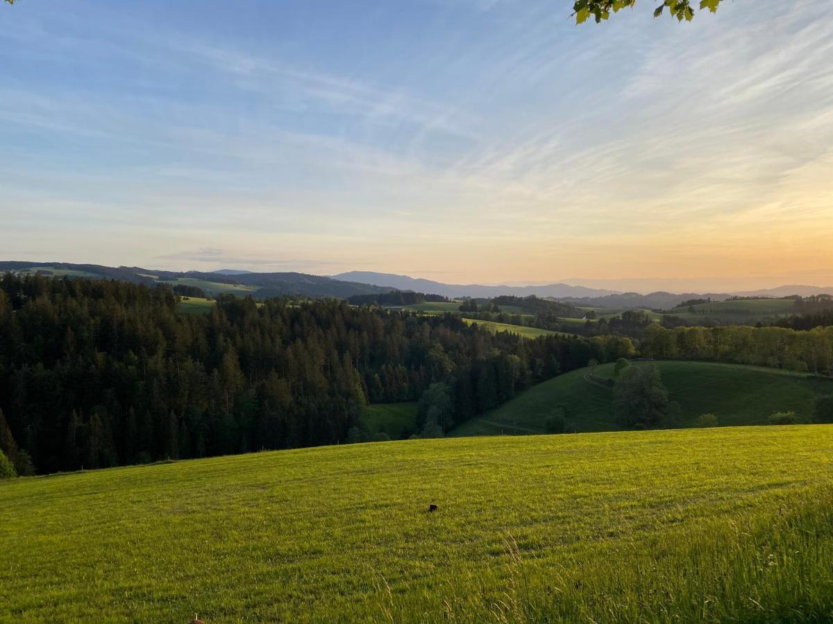 Hollhouse - Bed & Breakfast Hinterzarten Exterior photo