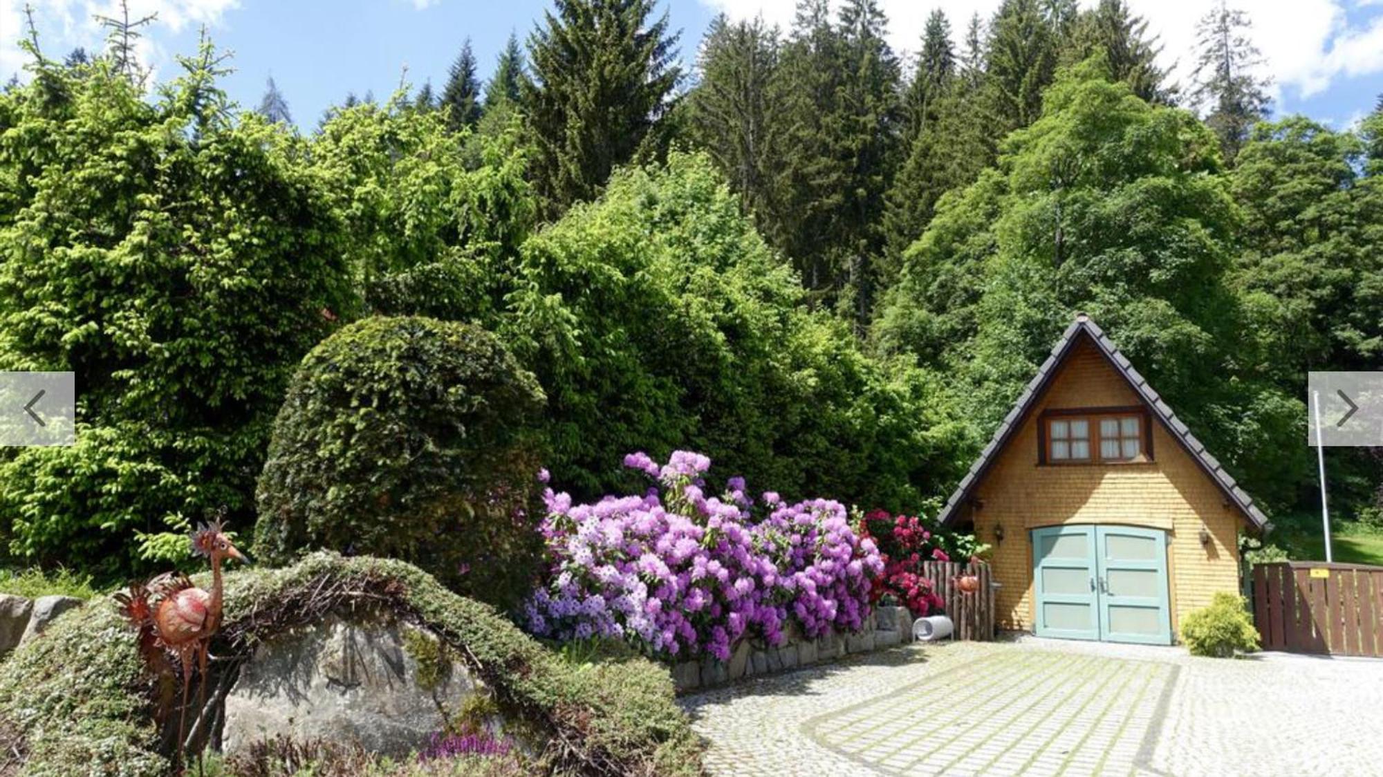 Hollhouse - Bed & Breakfast Hinterzarten Exterior photo