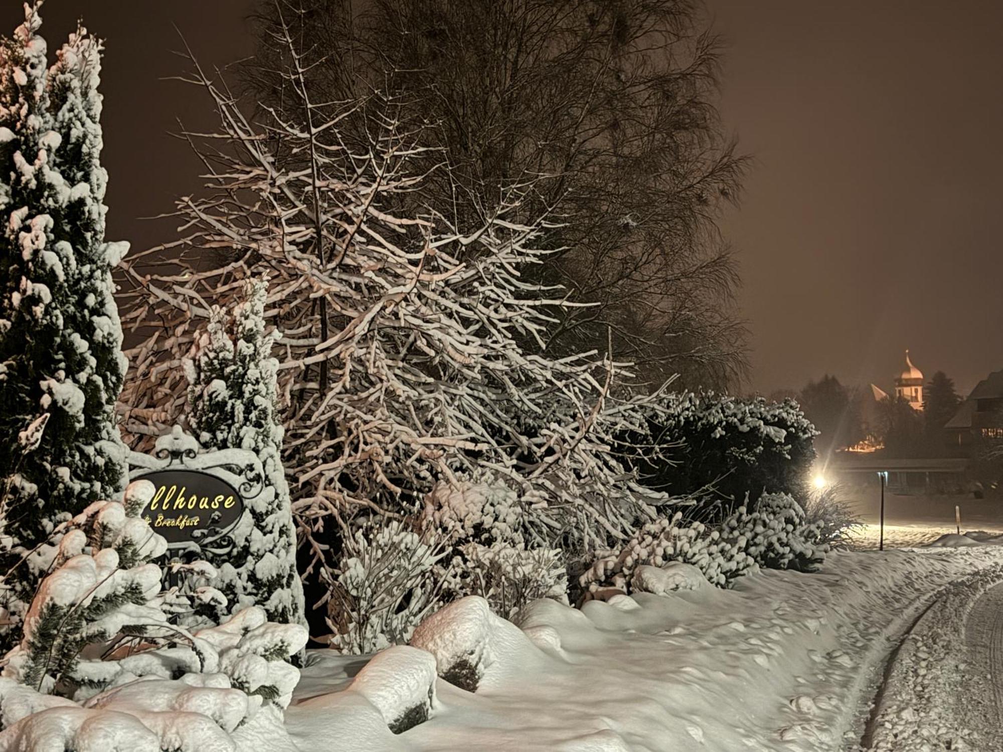 Hollhouse - Bed & Breakfast Hinterzarten Exterior photo