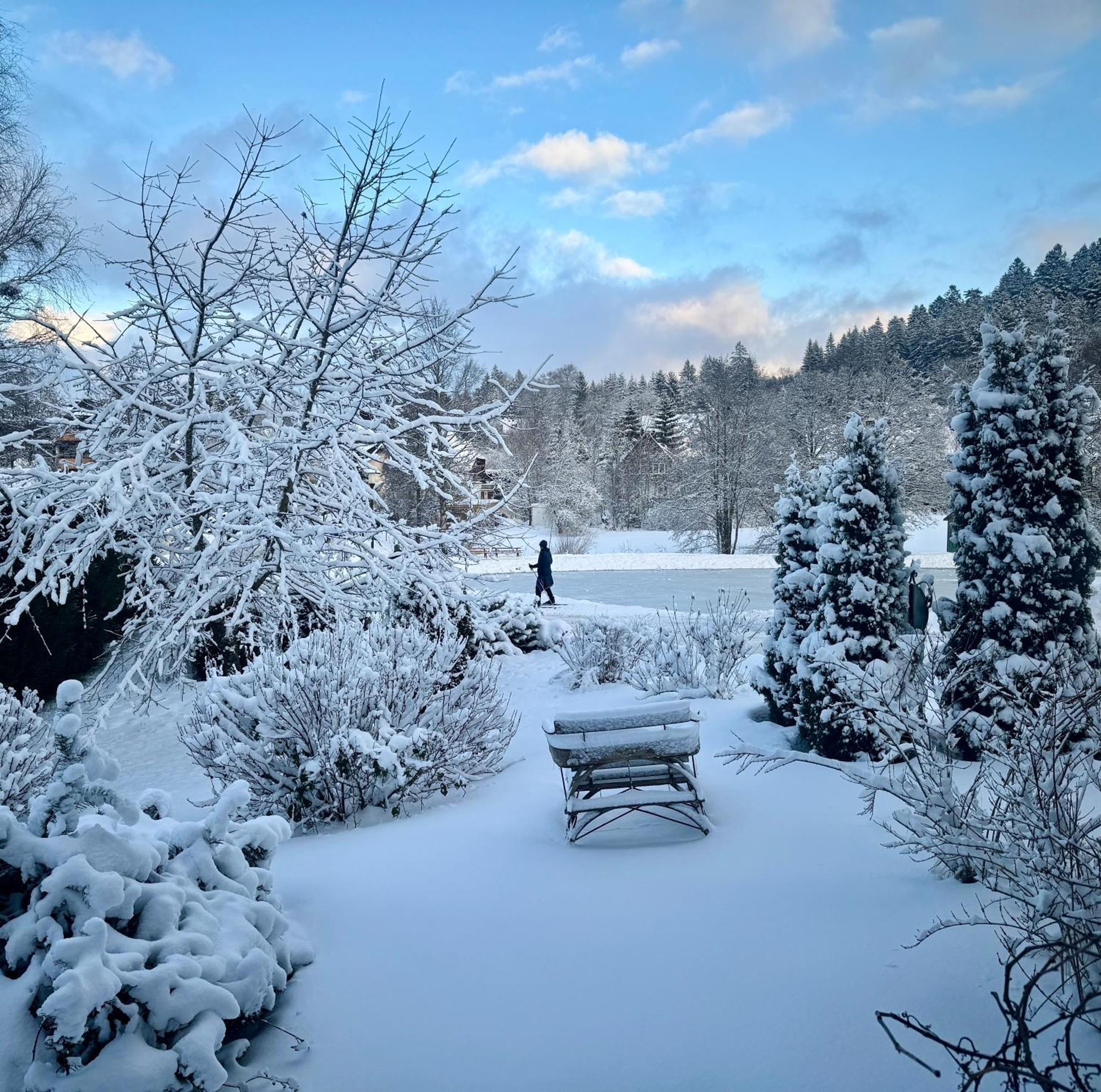 Hollhouse - Bed & Breakfast Hinterzarten Exterior photo